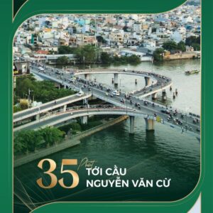 dragon eden 5 768x768 1