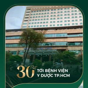 dragon eden 6 768x768 1